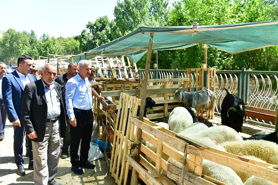 31 Noktada Kurban Satış Ve Kesim Hizmeti Verilecek