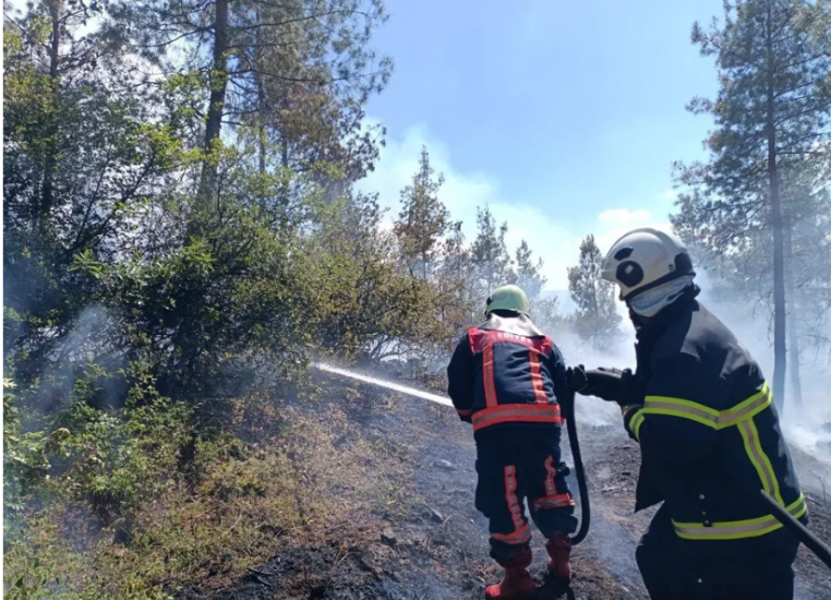 4 İlde Orman Yangını