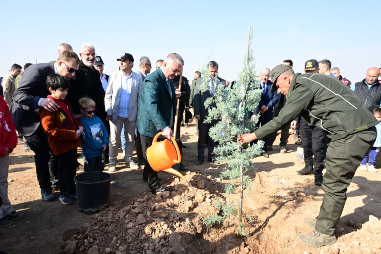 Ağaçlar Geleceğe Nefes Olacak