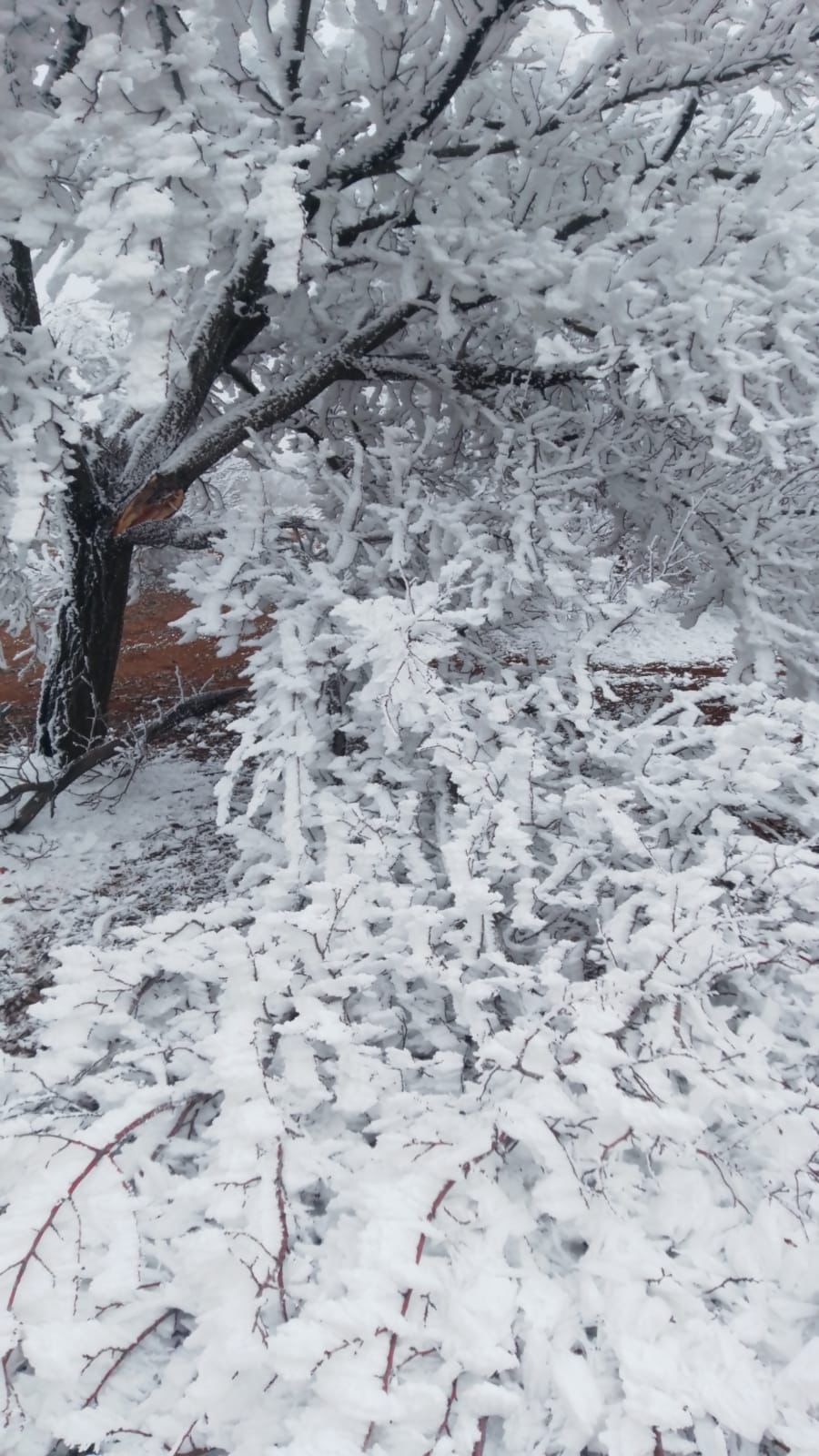 Ağbaba, "Darende'deki Üreticilere Destek Verilmeli"