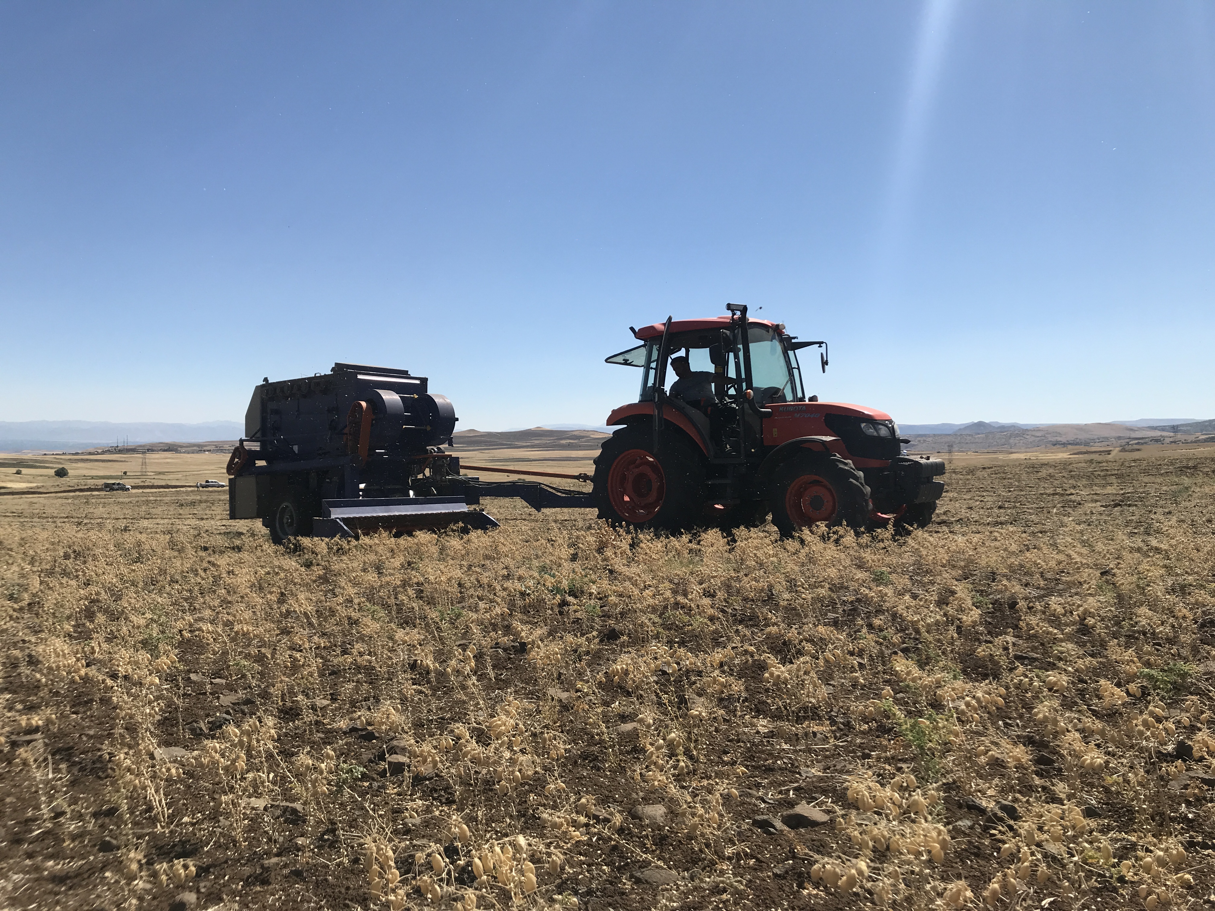 Arguvan’da Nohut Hasat Tarla Günü  Yapıldı