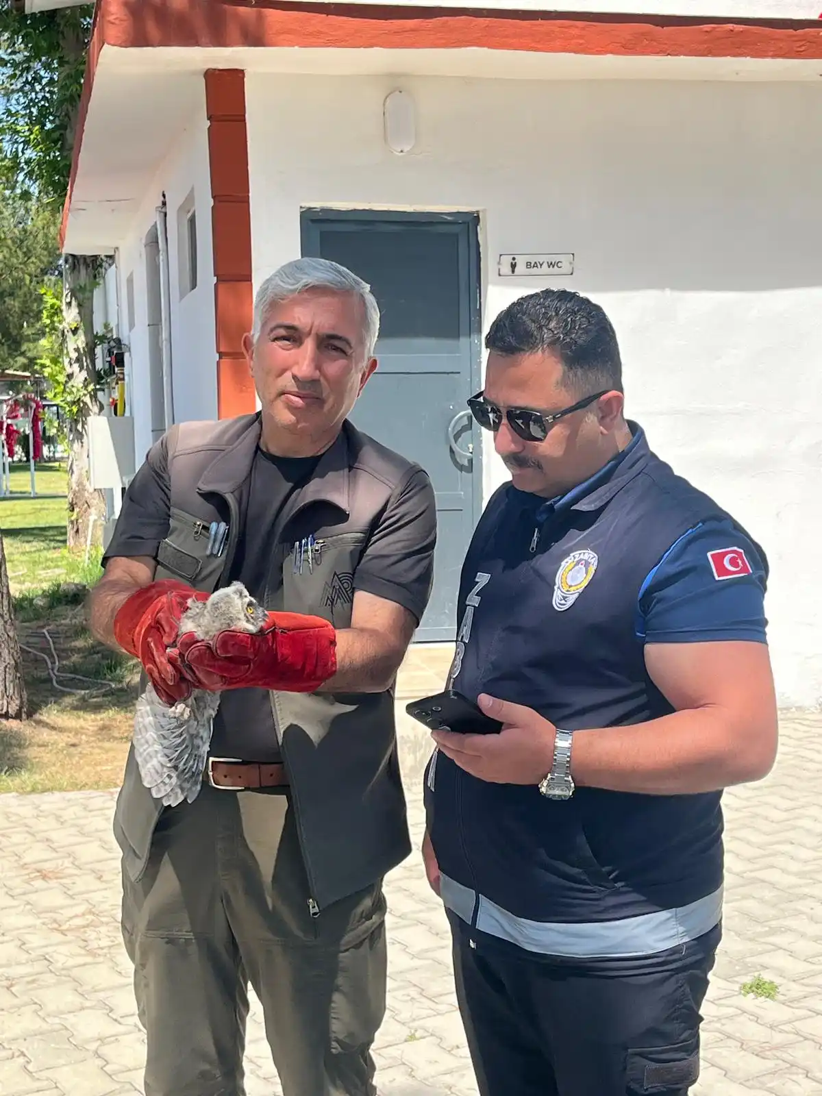 Battalgazi'de yavru baykuş koruma altına alındı
