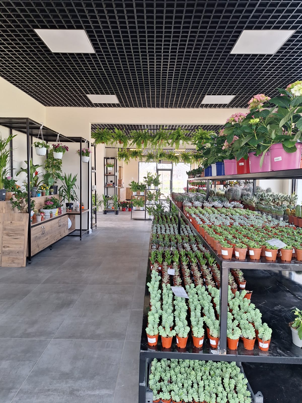 Battalgazi'nin Yeni Cazibe Merkezi 'Botanik Market'