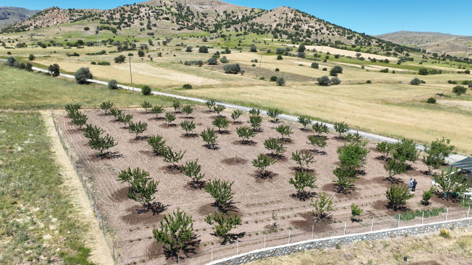 Büyükşehir Belediyesi çiftçilere destek olmaya devam ediyor