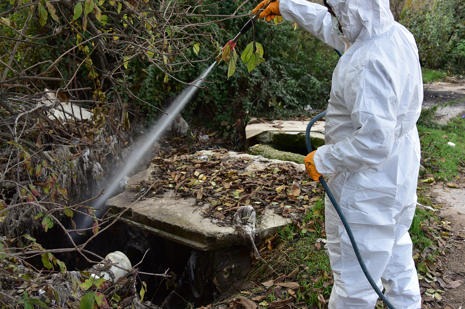 Büyükşehir Belediyesi haşere ile mücadelesini sürdürüyor