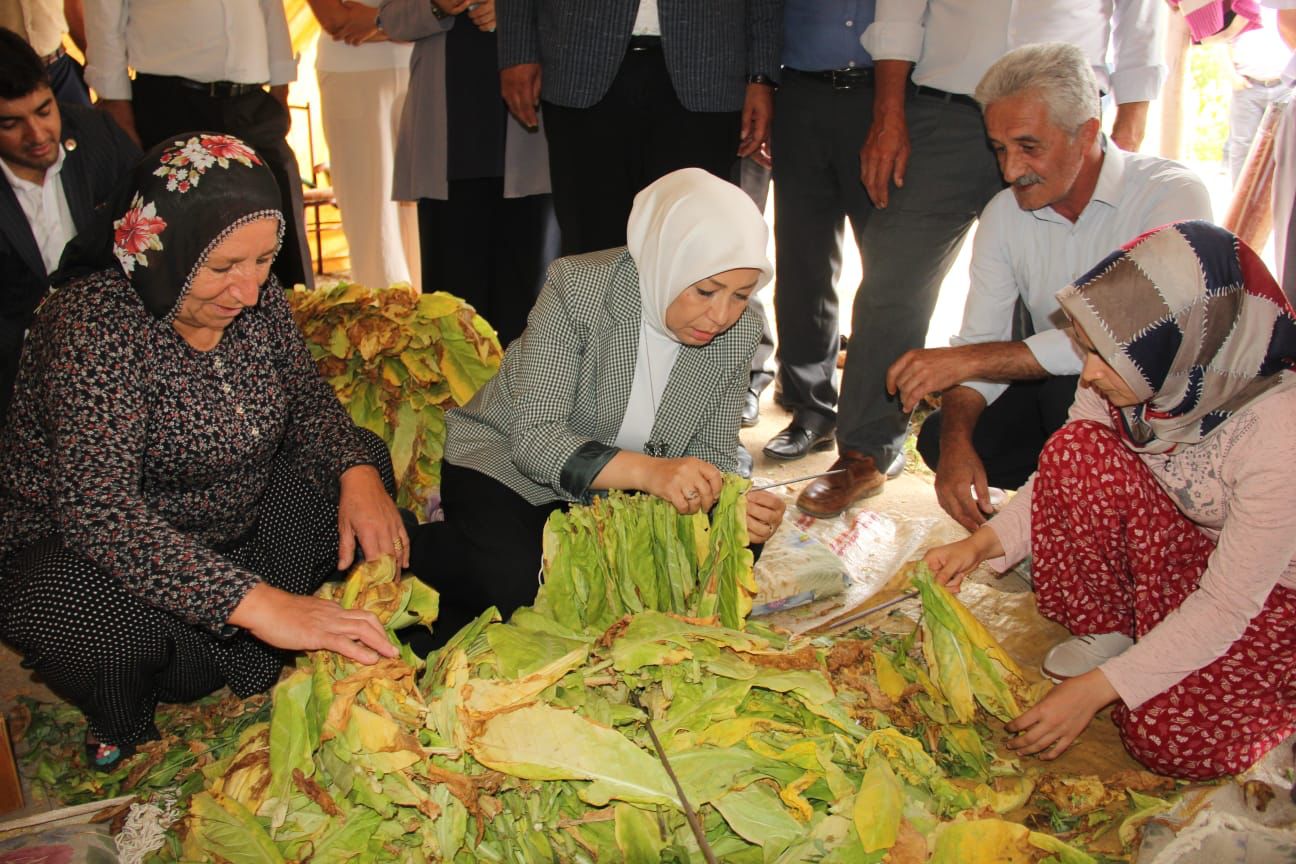 Çalık Tütün Üreticileriyle Bir Araya Geldi