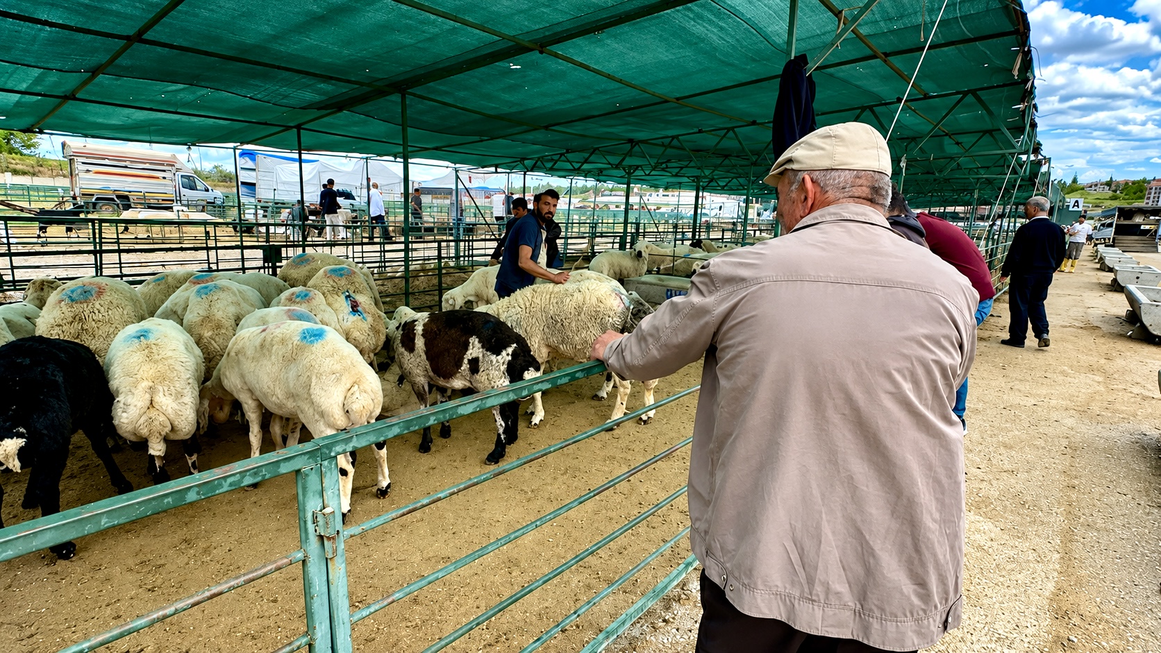 Canlı Hayvan Pazarında Son Gün