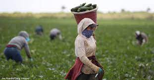 ÇKS Kayıtları İçin Son Gün 2 Ocak