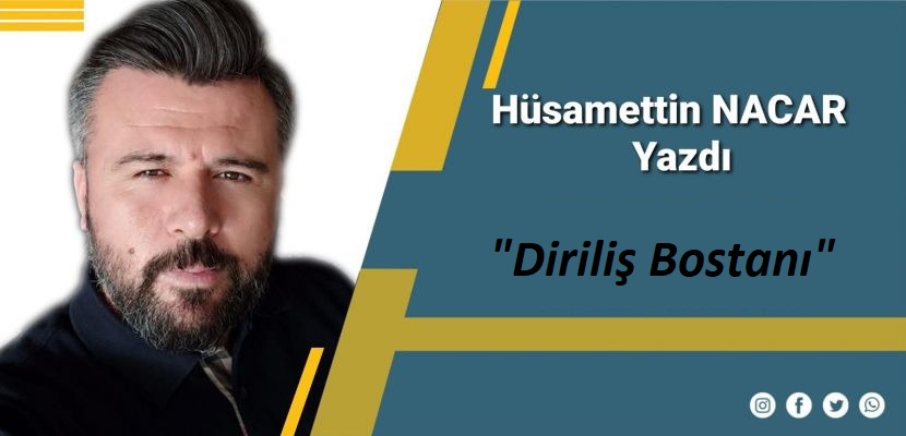 Diriliş Bostanı