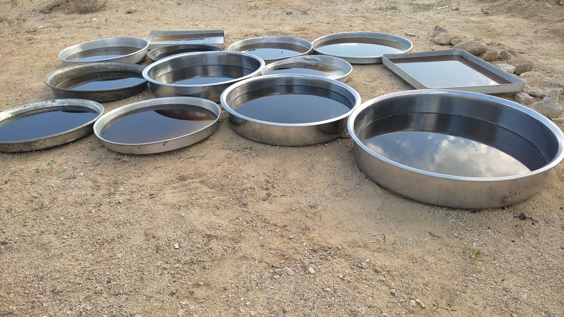 Doğanşehir’de Pekmez Mesaisi Başladı