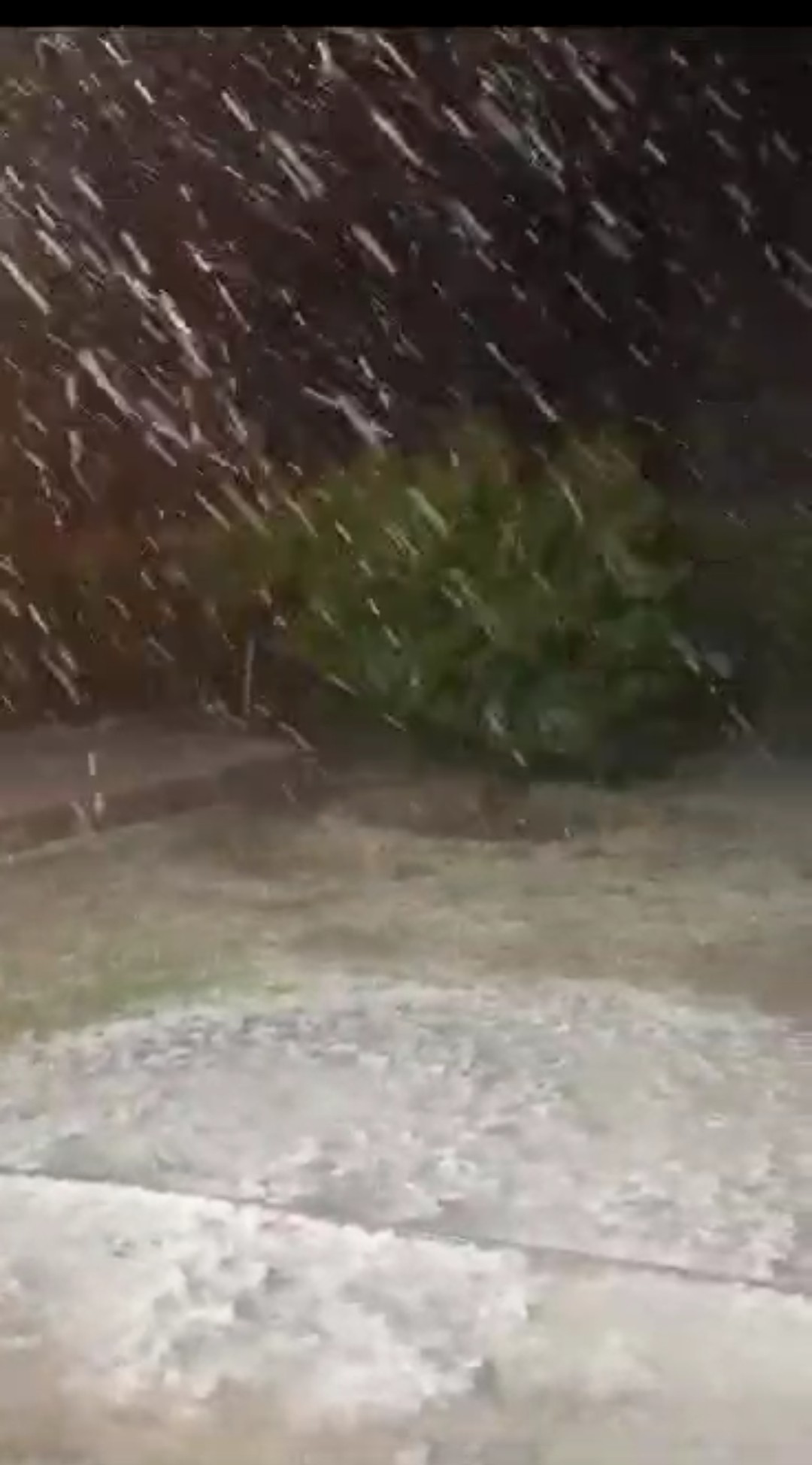 Dolu Kayısı Bahçelerini Vurdu