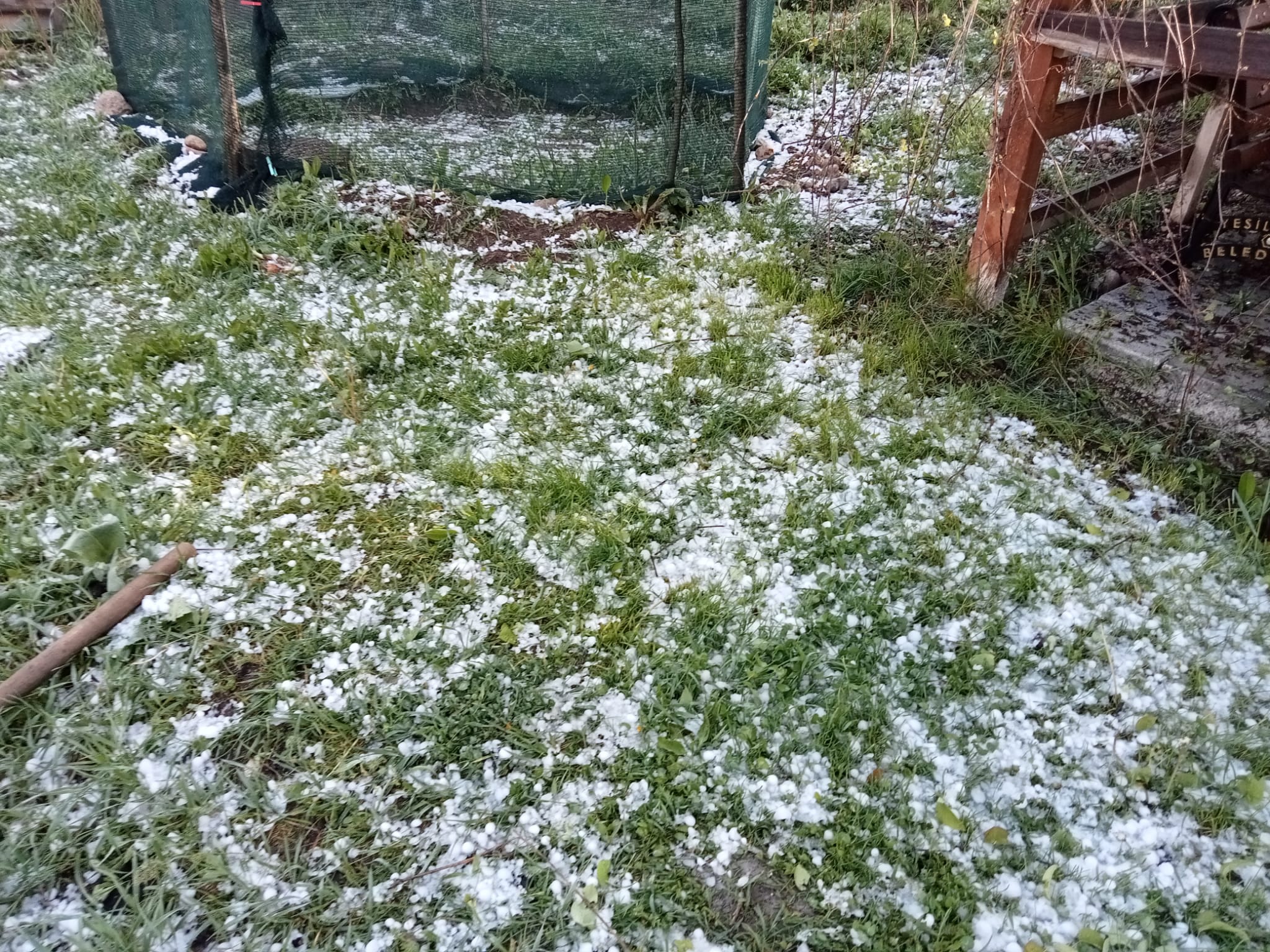 Dondan Sonra Kayısıyı Bu Sefer de Dolu Vurdu