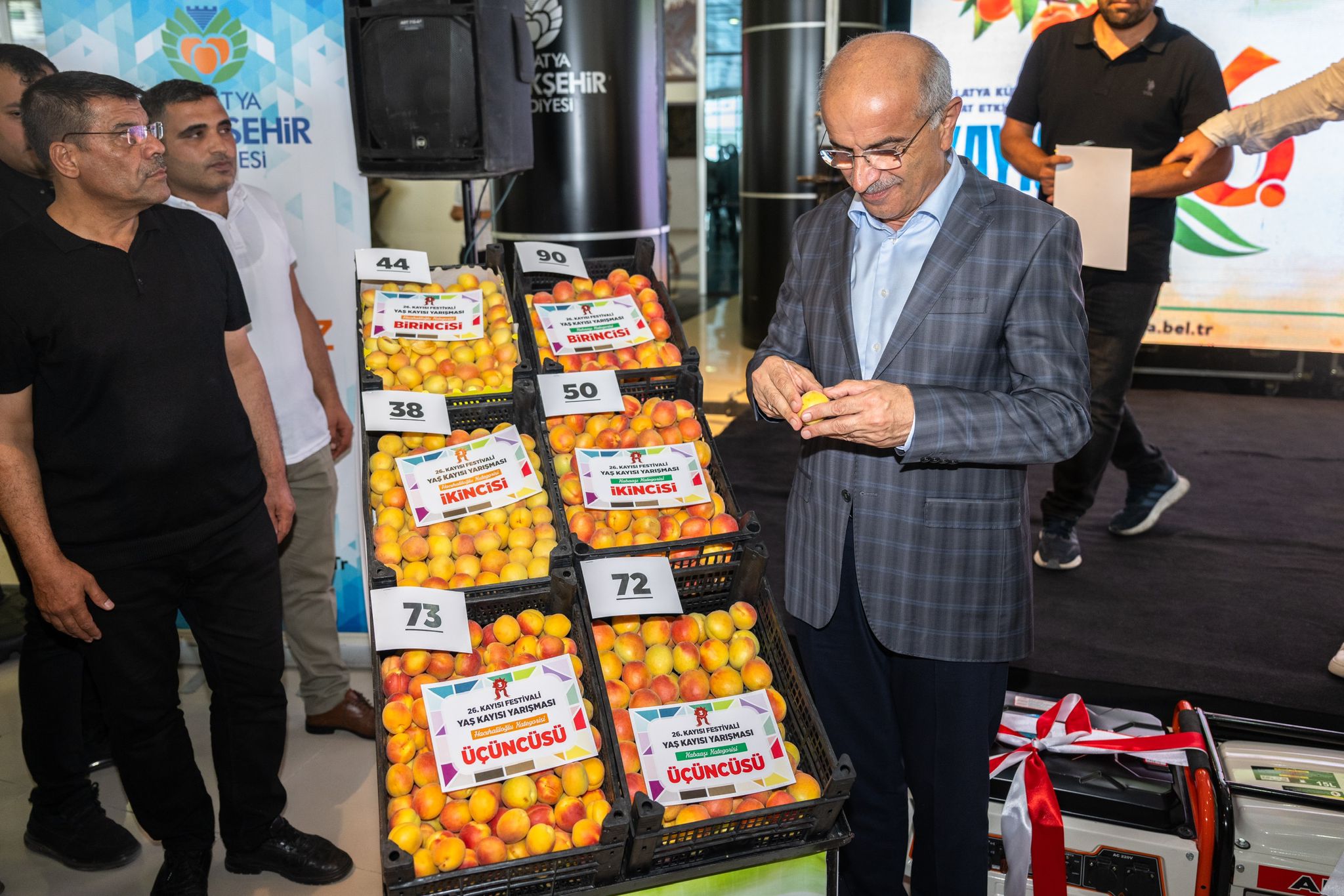 En İyi Kayısı Seçildi