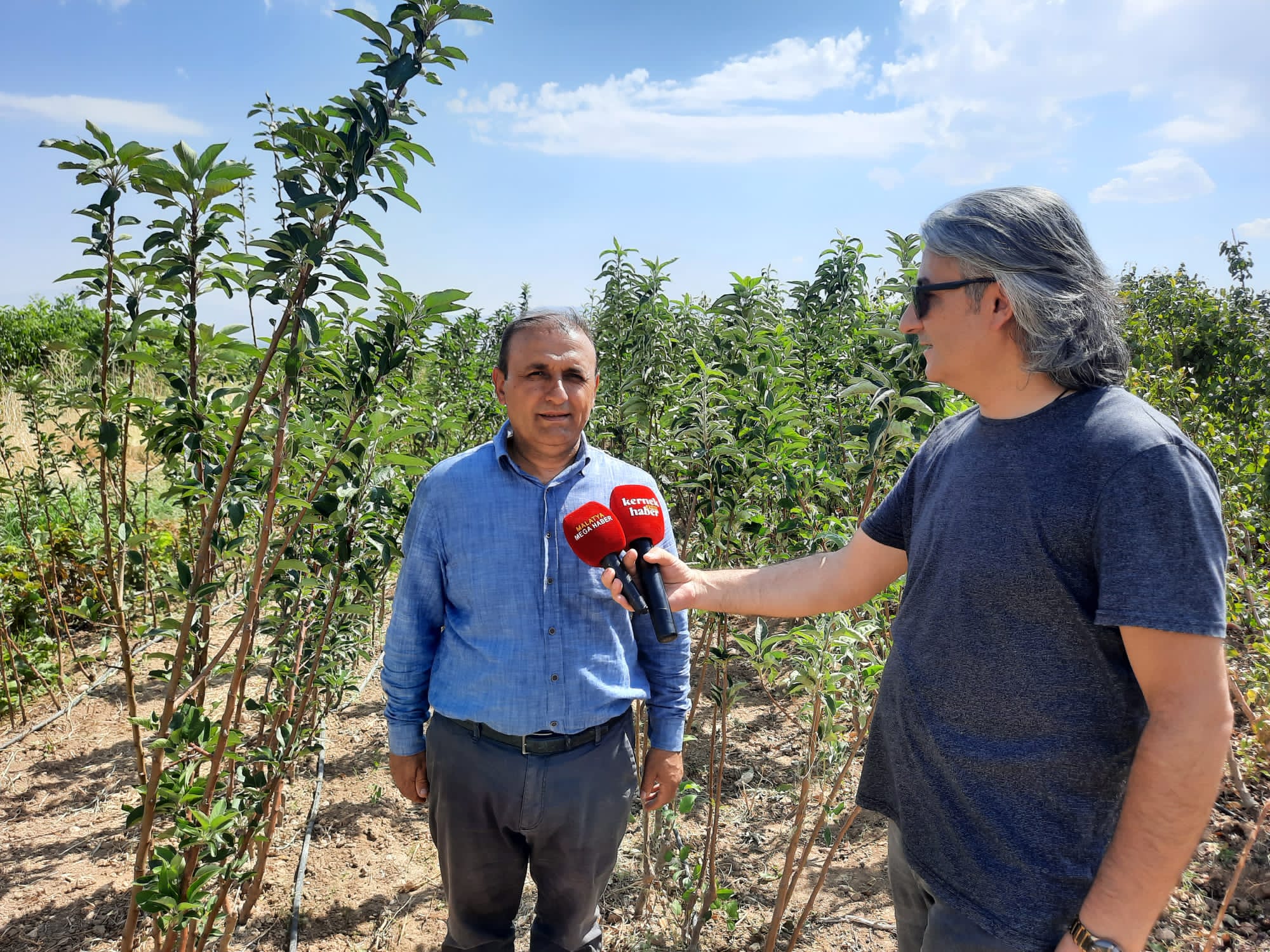 Fidancılardan Üreticilere Uyarı "Sertifikalı Fidan Alın!"