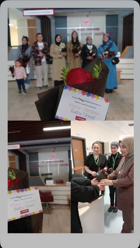 Fatmanur Erdem: 'Ebelerimiz Sağlık Sisteminin Vazgeçilmez Emekçileridir'