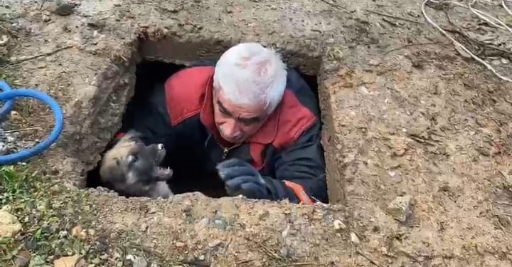 İtfaiye Ekipleri Kuyuya Düşen Köpeği Kurtardı