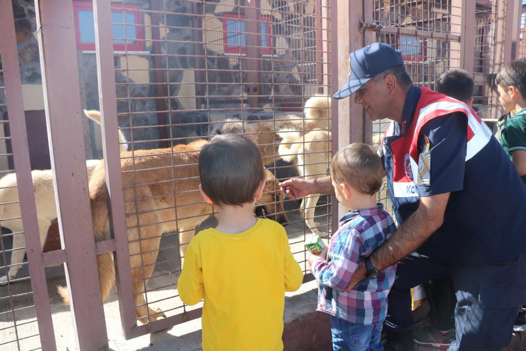 Jandarmadan 4 Ekim Hayvanları Koruma Günü Etkinliği