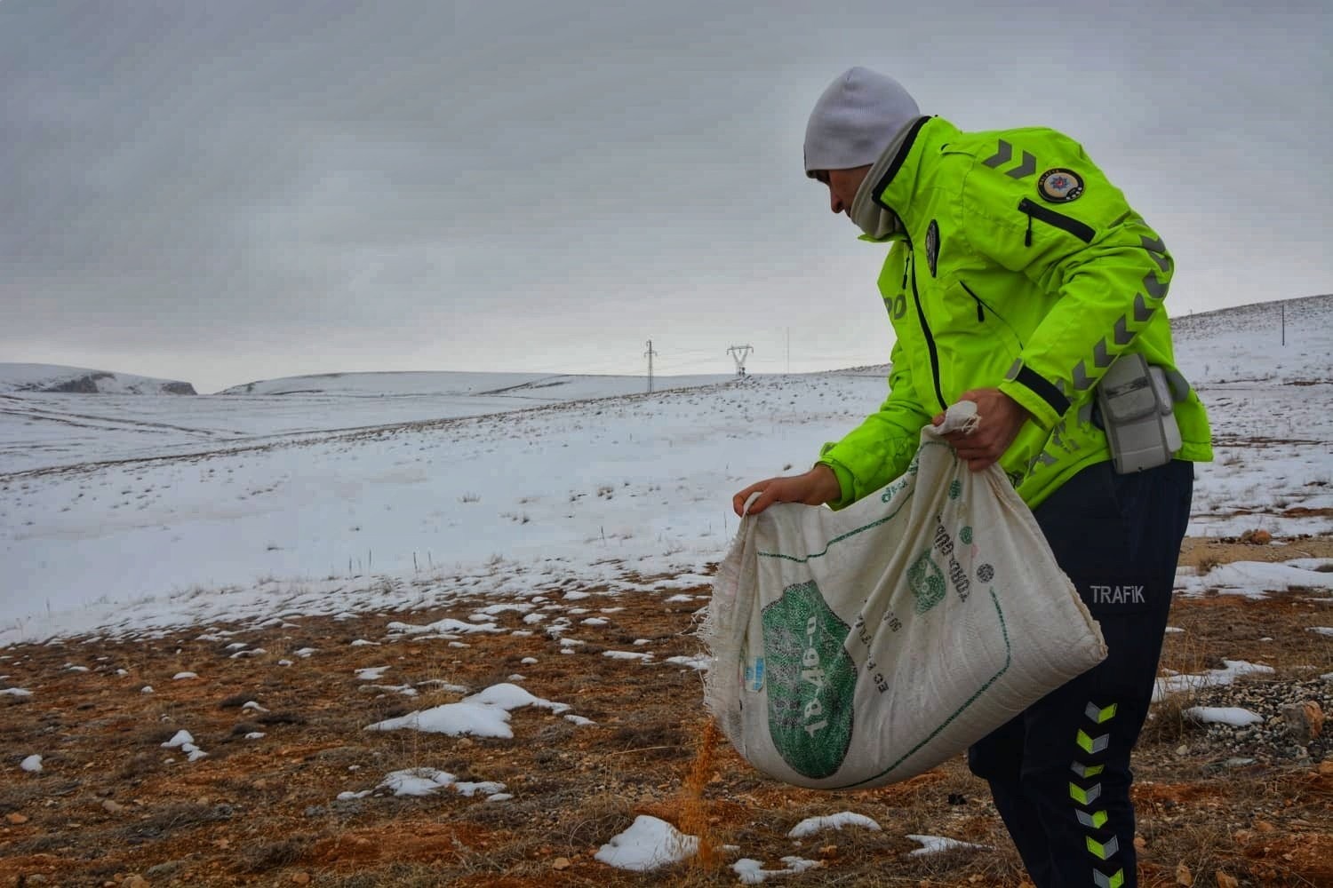 Karda yiyecek bulmakta zorlanan hayvanlara polis şefkati