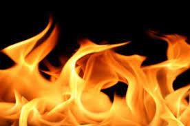 Kayısı ağaçları kül oldu