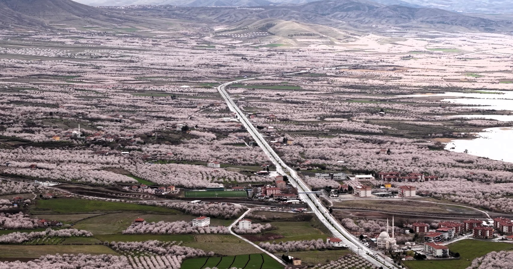 Kayısı Cenneti Malatya Beyaza Büründü: Çiçekler Kartpostallık Görüntüler Oluşturdu