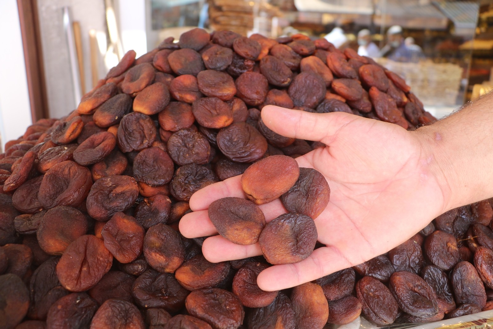 Kayısıda tahmini rekolte açıklandı