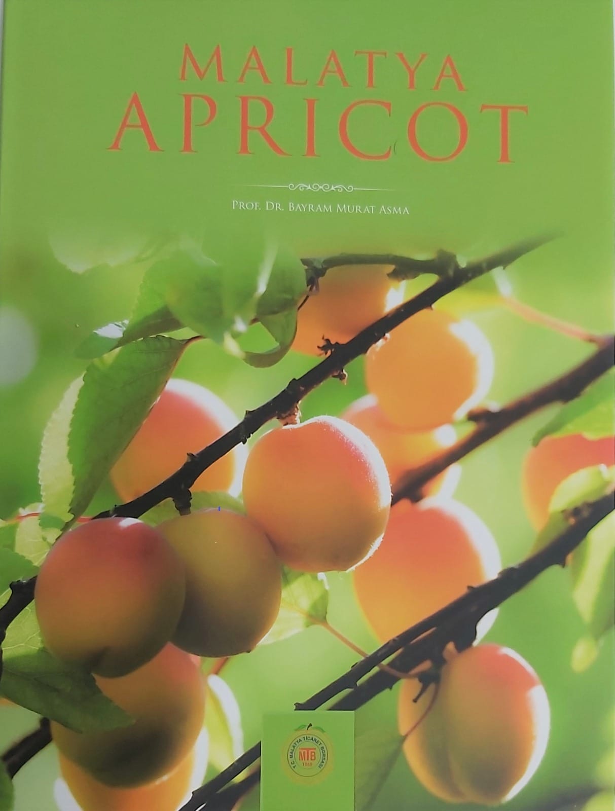 Kayısının Kitabı da Dünya Birincisi Oldu