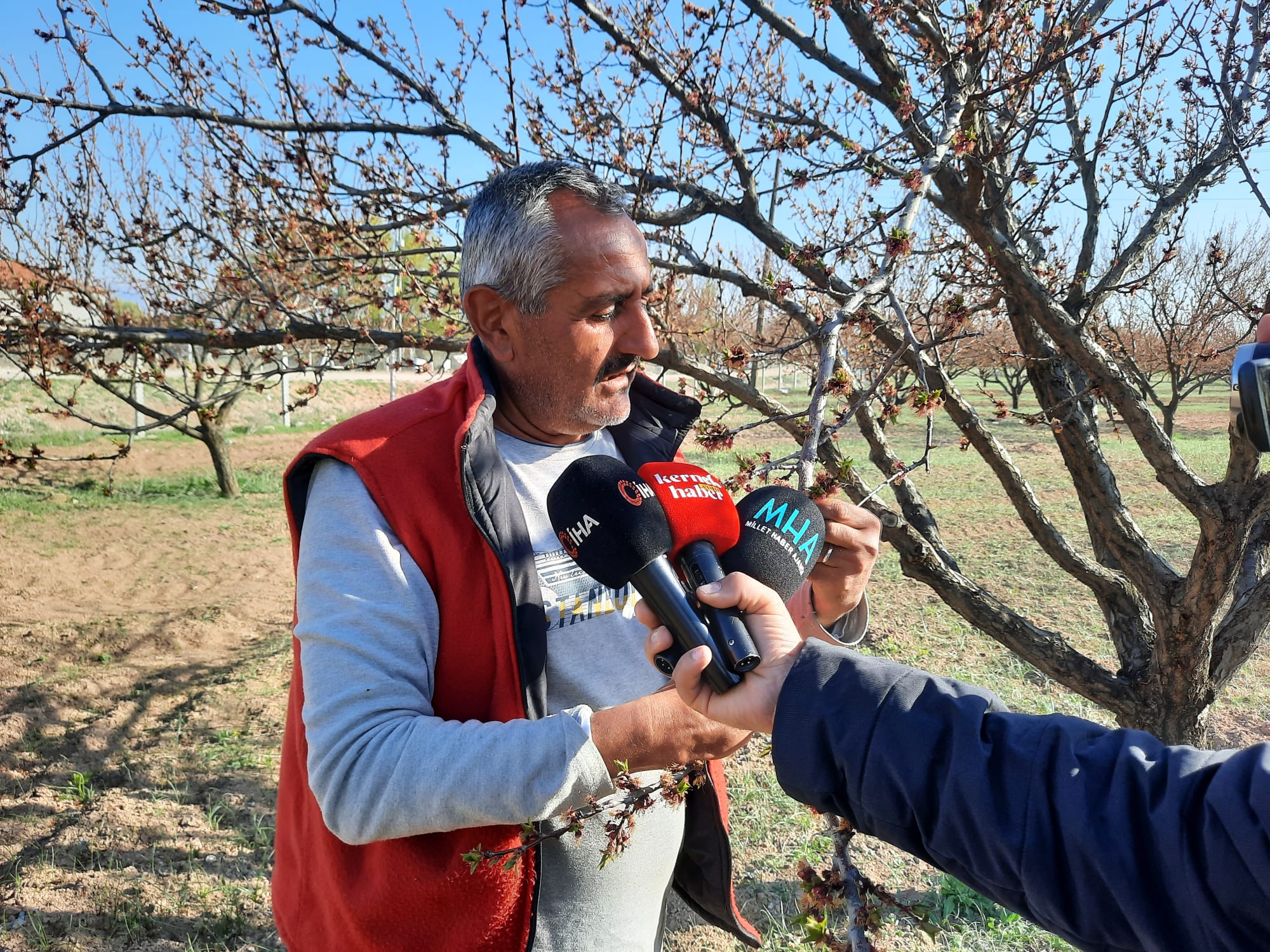 Kayısıyı Don Vurdu Düğünler Ertelendi