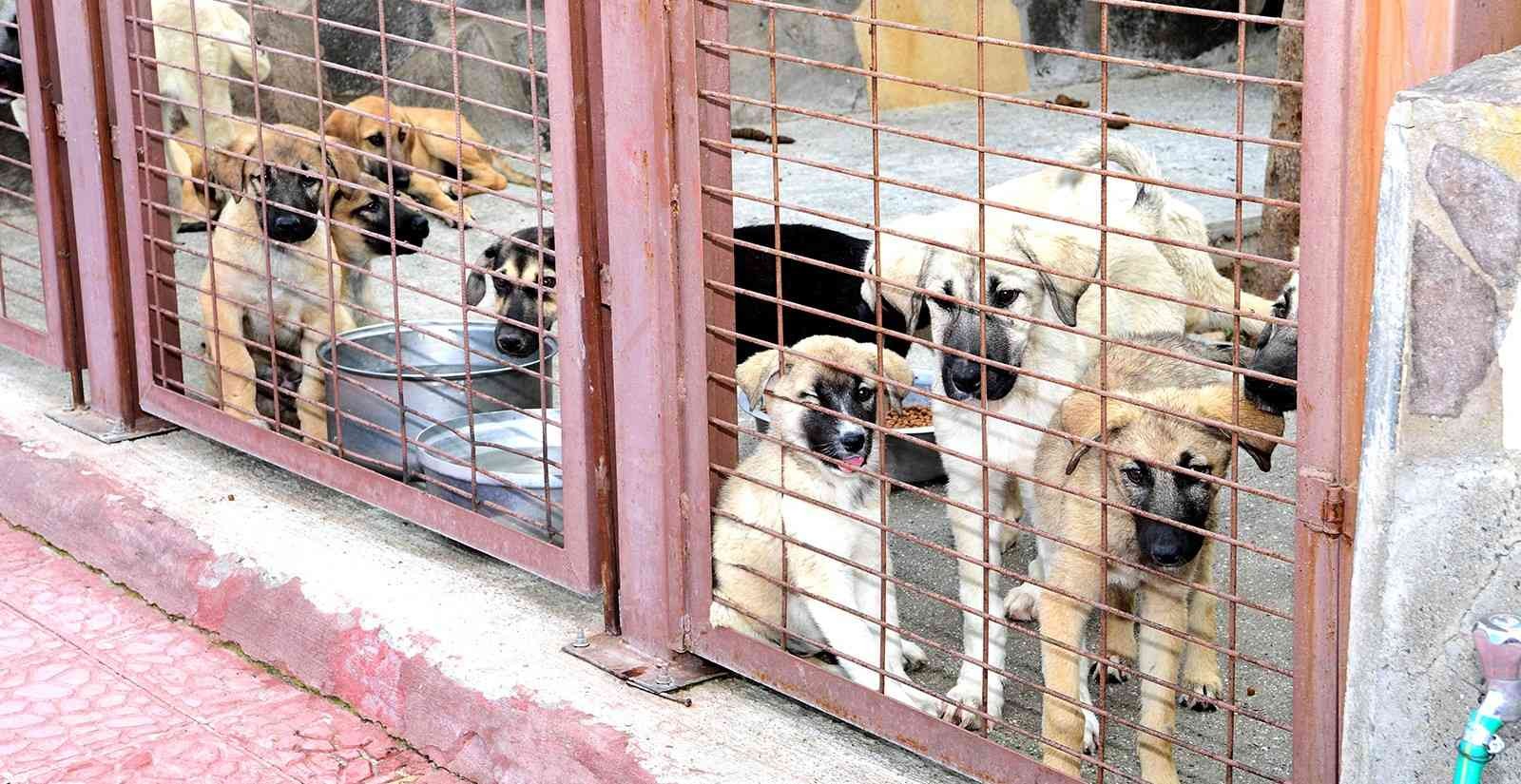 Malatya Büyükşehir Belediyesinden Örnek Çalışma