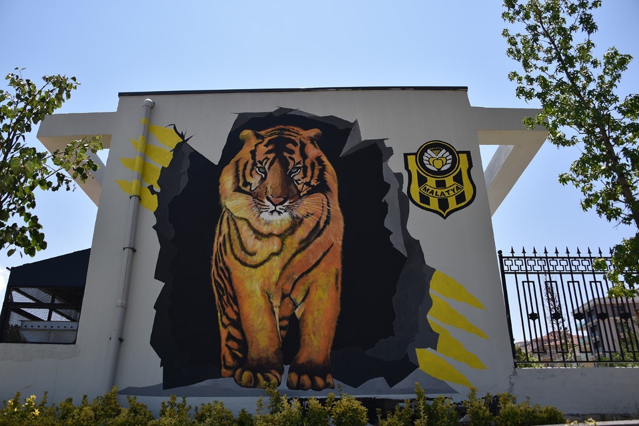 Malatya caddeleri resimlerle güzelleşiyor