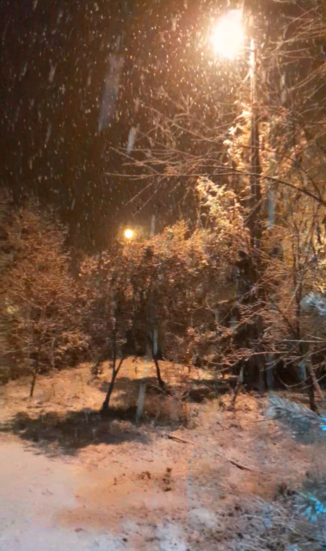 Malatya’da Kar Yağışı Etkili Oluyor