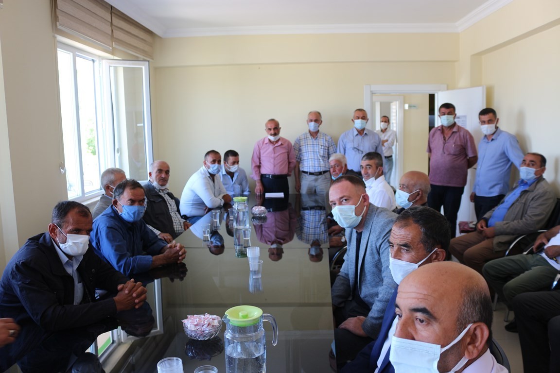 Malatya’da kayısının zirai dondan zarar görmesi