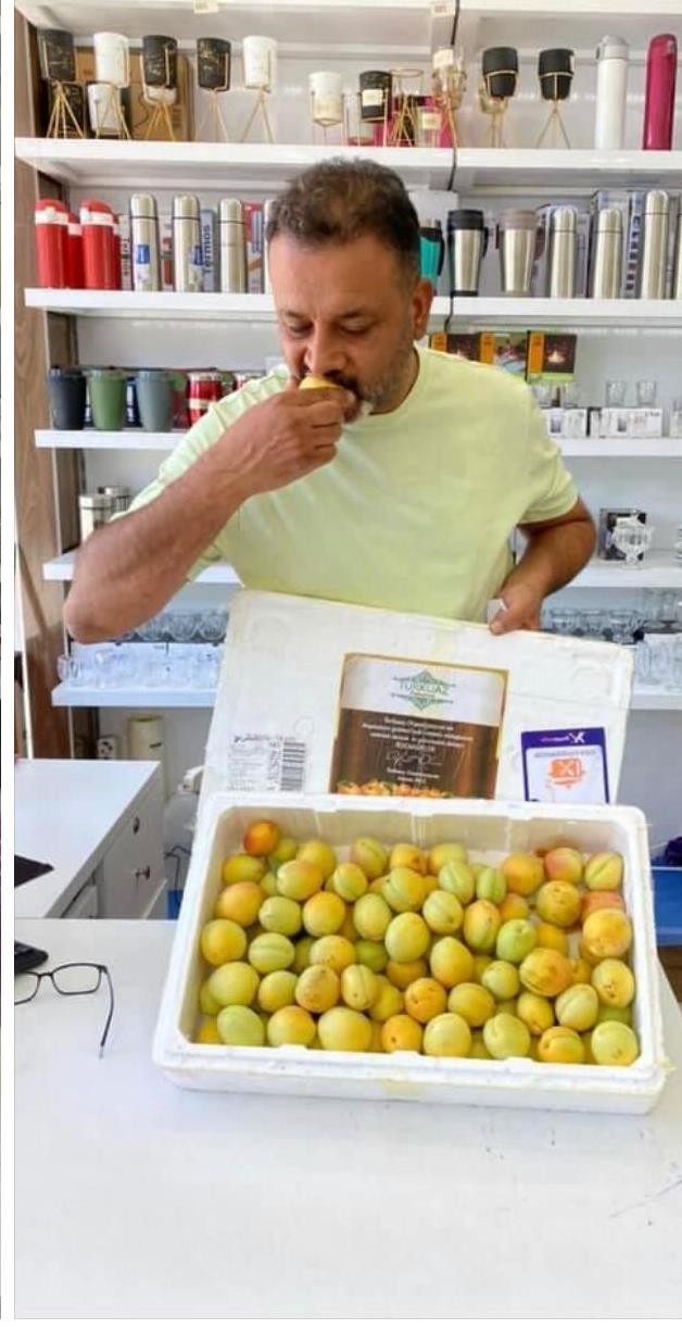 Malatya’dan il dışına koli koli  kayısı gidiyor