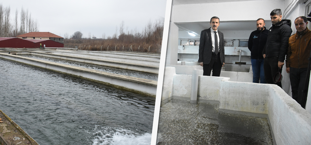 Malatya Kayısıdan Sonra Balıkta da Adından Söz Ettiriyor