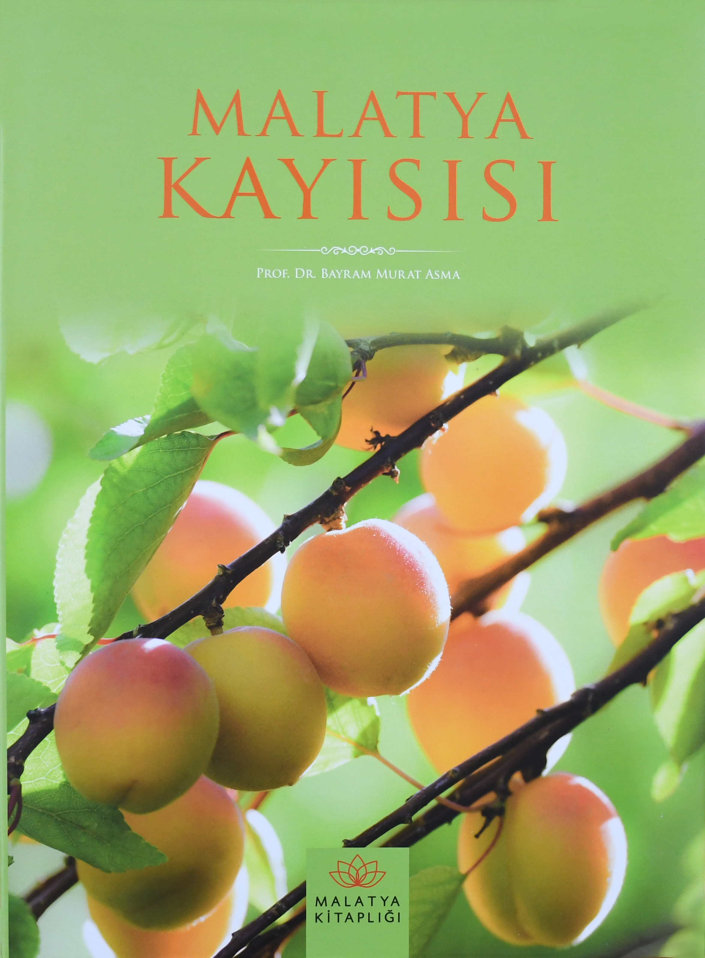 Malatya Kayısısı Kitabı En İyilerle Yarışacak