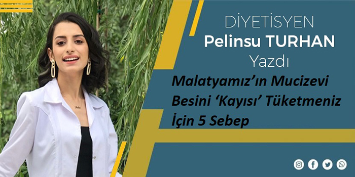 Malatyamız’ın Mucizevi Besini ‘Kayısı’ Tüketmeniz İçin 5 Sebep