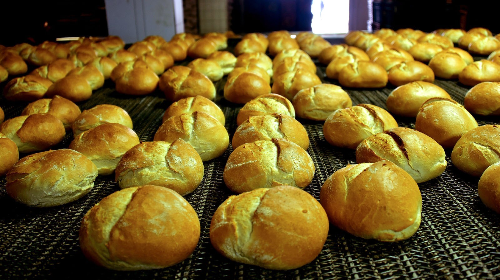 MEGSAŞ 'ta Ekmek Yeniden Ücretli Oldu