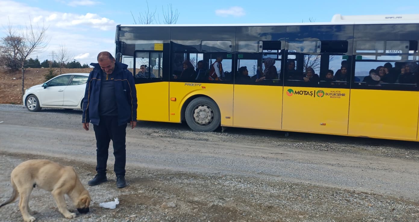 MOTAŞ Şoföründen Yürek Isıtan Hareket: Topallayan Köpeğin Ayağındaki Taşı Çıkardı