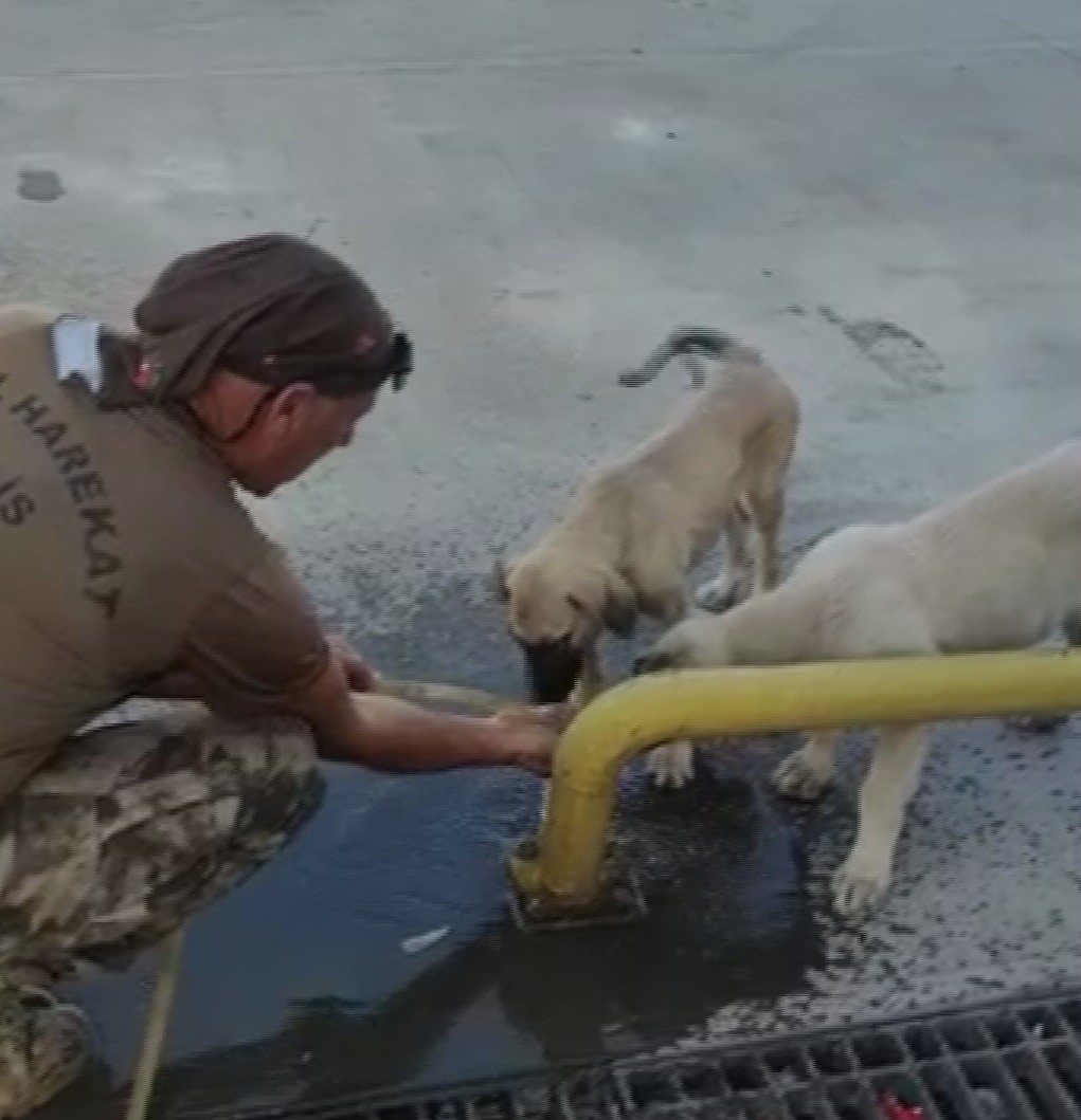 Özel harekat polisi yaptığı hareketle yürekleri ısıttı