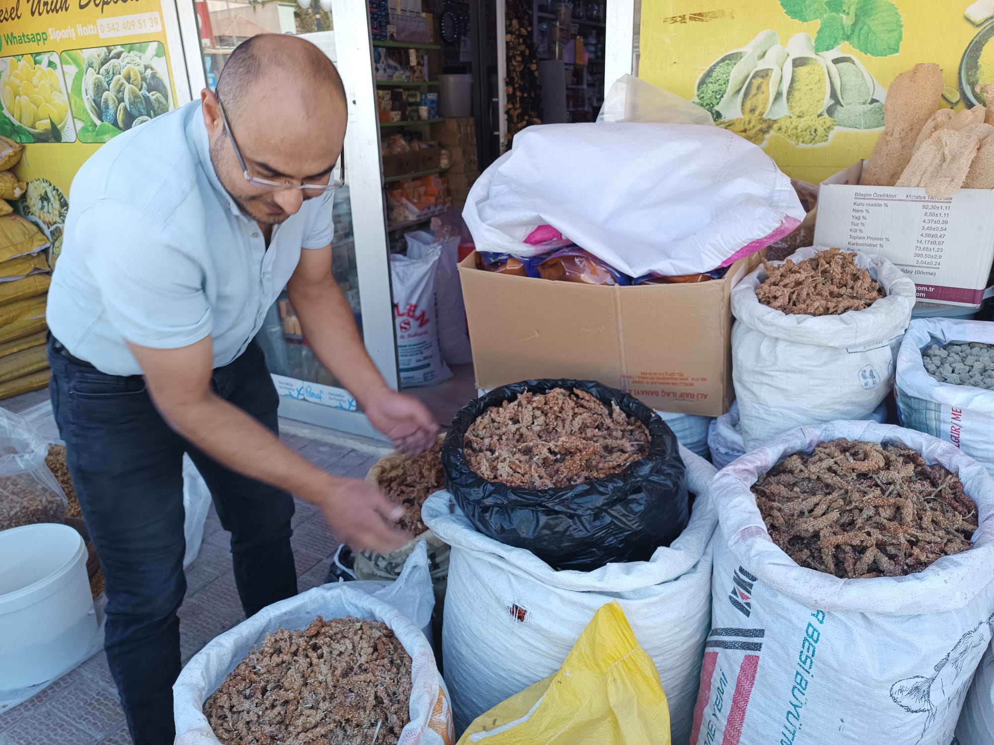 Sumak Hasadı Başladı: Kilosu 350 TL