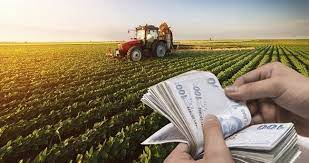 Tarımsal Destekleme Ödemeleri Başladı