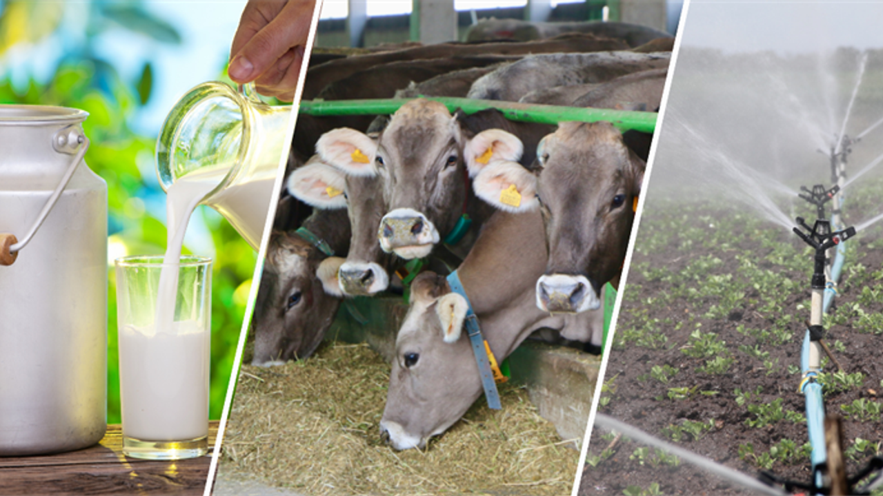 Tarımsal Destekleme Ödemeleri Hesaplara Yatmaya Başladı - Birlik Haber Ajansı