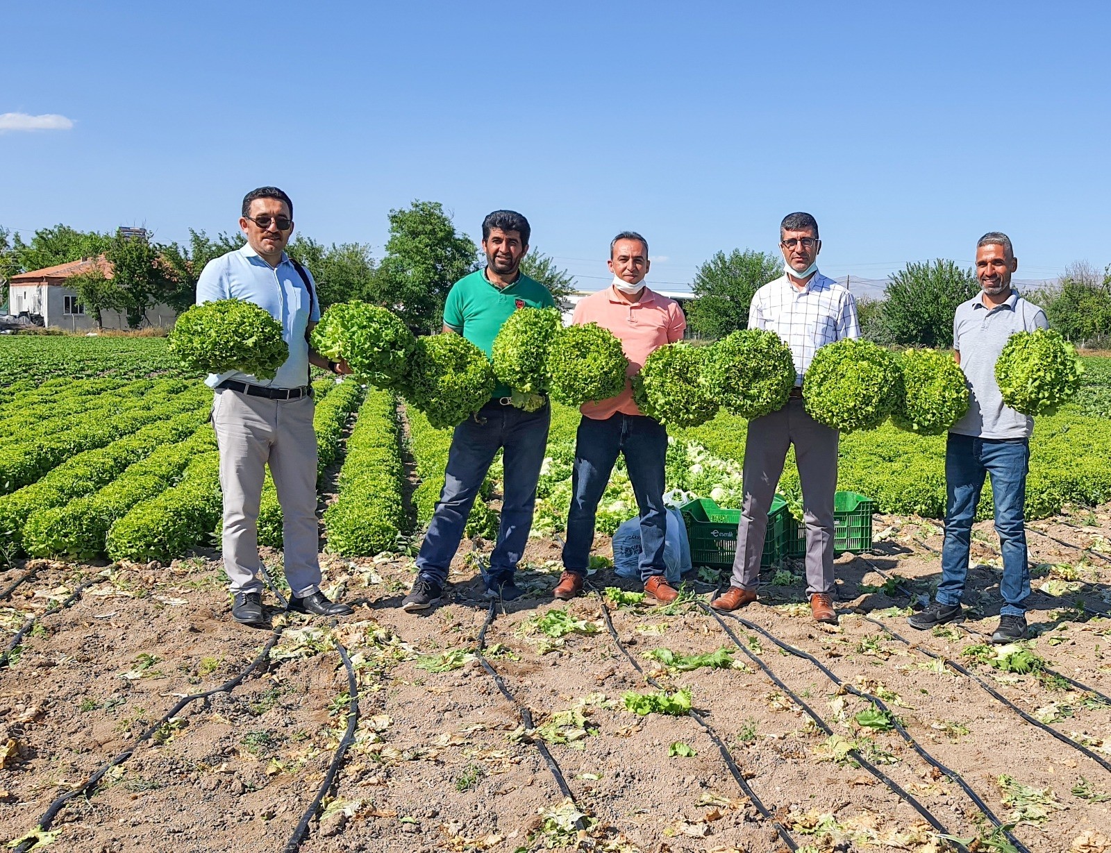 Tarladan tüketiciye sebze