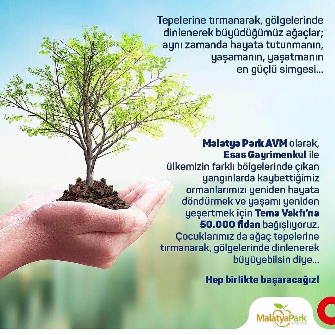 TEMA kampanyasına 50 bin fidan desteği