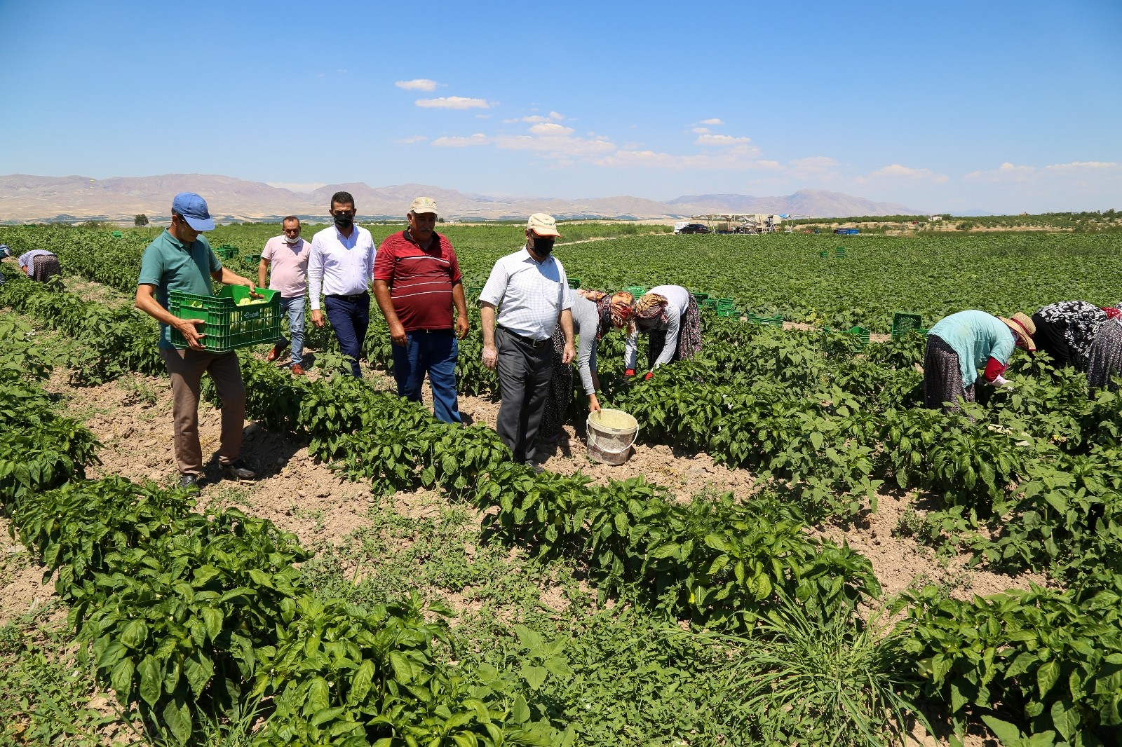 Ünlü’den çiftçilere destek açıklaması