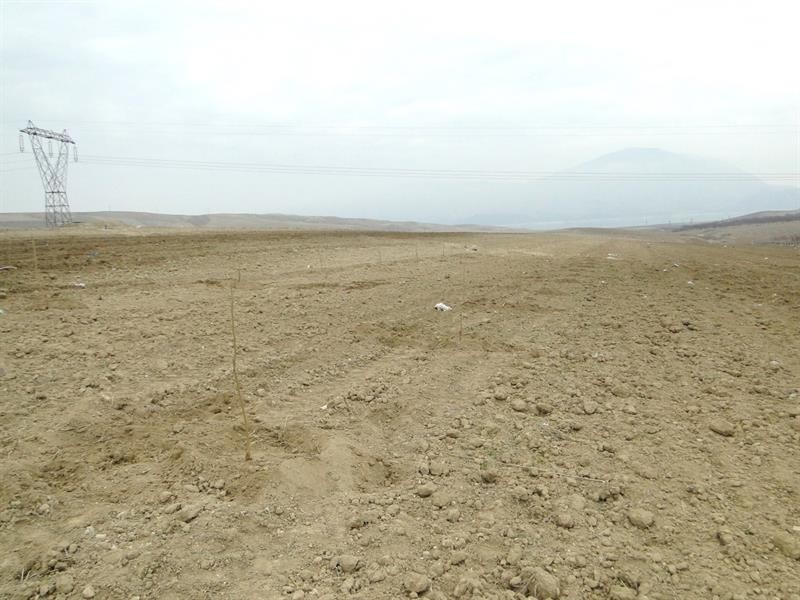 Üretime katkı için mera ve yaylaklar kiralanacak