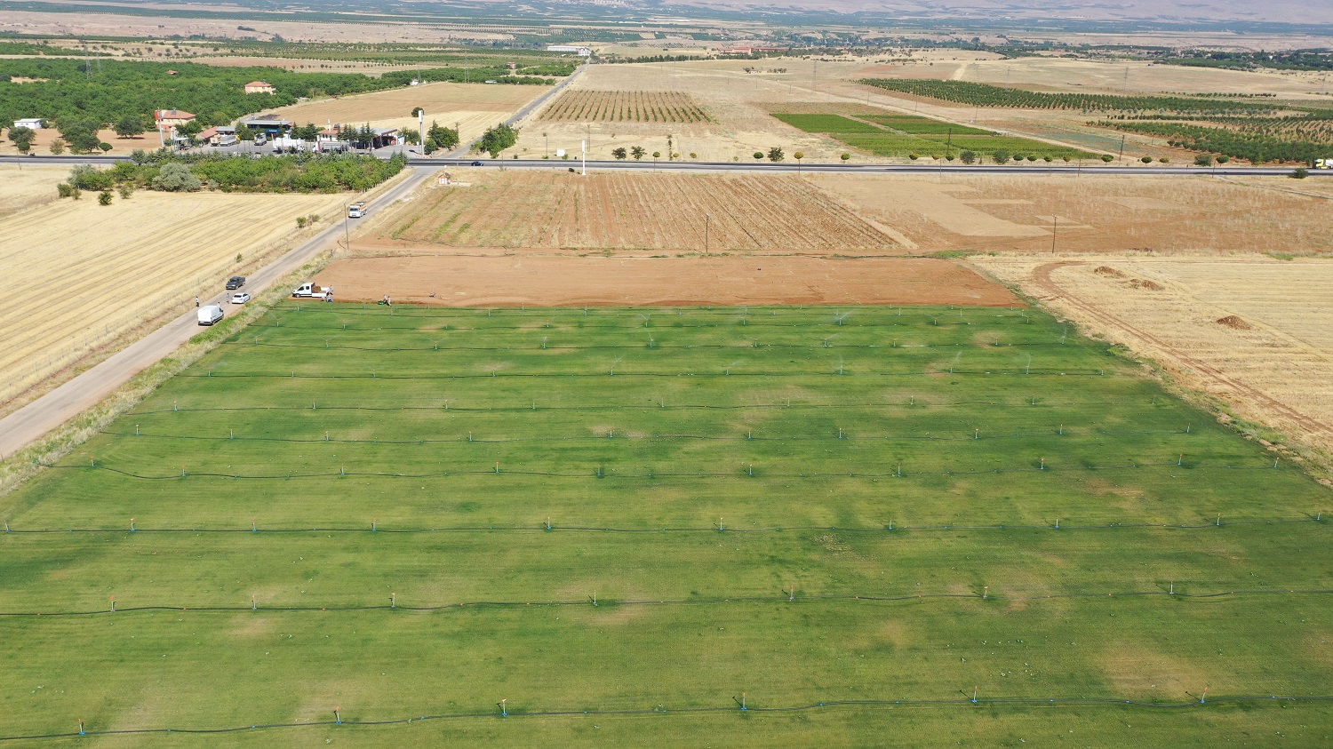 Yeşilyurt Belediyesi Rulo Çim Üretiminde Hedeflerin Üzerine Çıktı