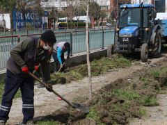 Manisa’da yoğun peyzaj çalışması