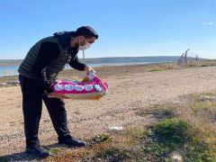 Kilis’te AK Parti gençlerden can dostlara mama desteği