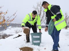 YEŞİLYURT BELEDİYESİ EKİPLERİ, MİNİK CANLILAR İÇİN DOĞAYA YEM BIRAKIYOR