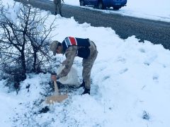 Yaban hayvanlarına Jandarma şefkatı